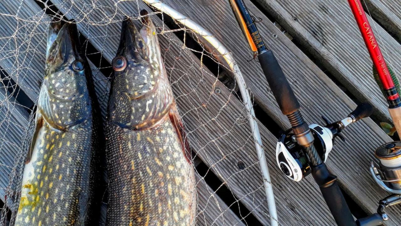 Kalurikula Fishing Village Пярну Екстериор снимка